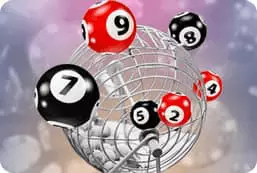 24D